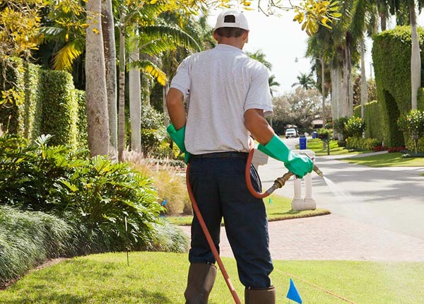 About Hartford VT Pest Control